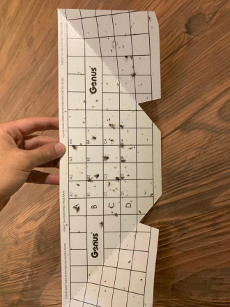 Ловушка насекомых с клеевой основой "Genus Illume LED Galaxy White"